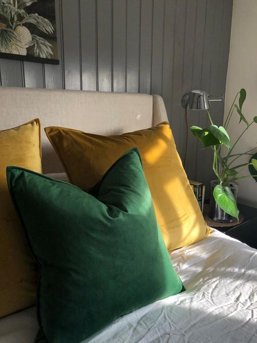 Velvet Cushion